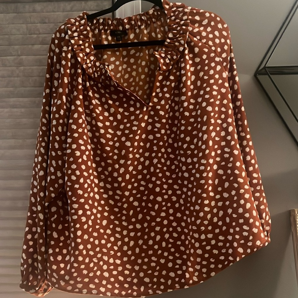 J.Crew Long Sleeve Blouse